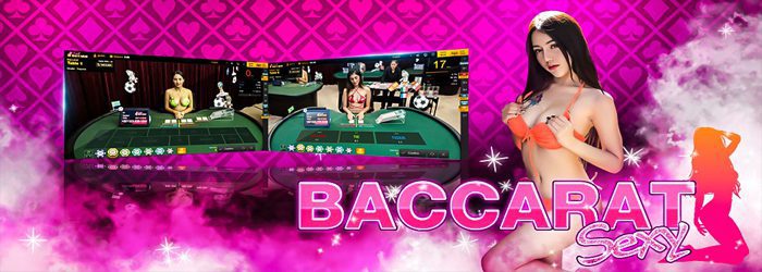 WY88- sexy baccarat 7